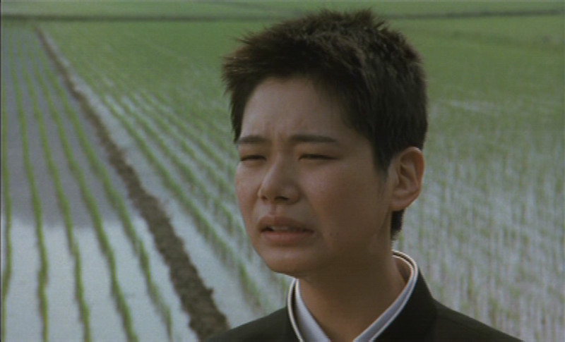 The Taste Of Tea Full Movie English Subtitles The Taste of Tea - Cha no aji